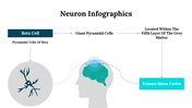 300262-neuron-infographics-11