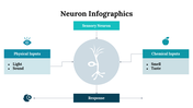 300262-neuron-infographics-12