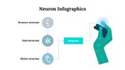 300262-neuron-infographics-19