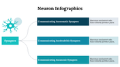 300262-neuron-infographics-21