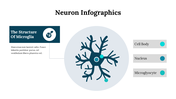 300262-neuron-infographics-22