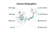 300262-neuron-infographics-25