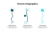 300262-neuron-infographics-28