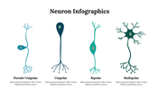 300262-neuron-infographics-29