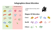 Infographics About Microbes PowerPoint And Google Slides