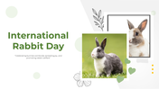 300479-international-rabbit-day-01