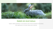 300479-international-rabbit-day-13