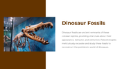 300518-national-fossil-day-04