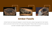 300518-national-fossil-day-05