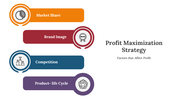 300669-profit-maximization-strategy-03