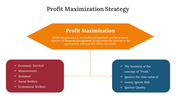 300669-profit-maximization-strategy-06