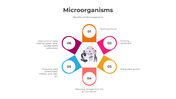 300839-microorganisms-04