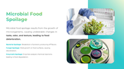 300842-food-microbiology-03