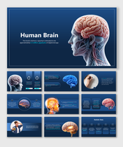 Human Brain PowerPoint And Google Slides Templates