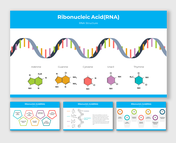 Customizable Ribonucleic Acid PowerPoint And Google Slides