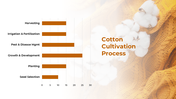 300880-cotton-cultivation-07