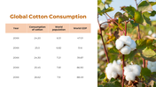 300880-cotton-cultivation-09