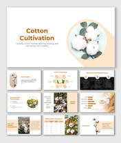 Editable Cotton Cultivation PowerPoint And Google Slides