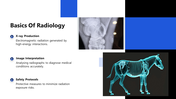 300919-horse-radiology-03