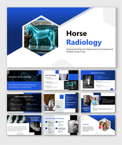 Horse Radiology PowerPoint And Google Slides Template