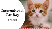 400069-international-cat-day-01