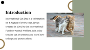 400069-international-cat-day-04