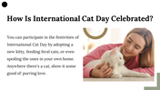 400069-international-cat-day-10