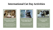 400069-international-cat-day-13