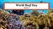 400071-world-reef-day-01