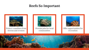 400071-world-reef-day-12