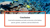 400071-world-reef-day-29