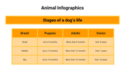 400083-animal-infographics-30