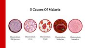 400089-world-malaria-day-06