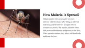 400089-world-malaria-day-11