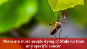 400089-world-malaria-day-30