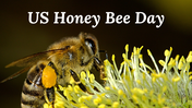 400091-us-honey-bee-day-01