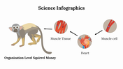 400094-science-infographics-13