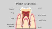 400098-dentist-infographics-05