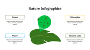 400100-nature-infographics-12