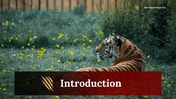 400169-international-tiger-day-02