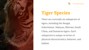 400169-international-tiger-day-06