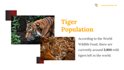 400169-international-tiger-day-10