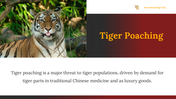 400169-international-tiger-day-16