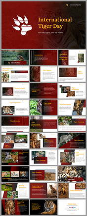 Slide deck overview for international tiger day, featuring its images and sections on conservation, threats, and habitat.