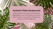 Aesthetic plants background with lush green tropical leaves on a pink surface, overlayed with a text box.