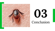 400310-lyme-disease-awareness-month-13