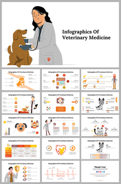 Set of slides with an illustration of a vet with a dog, various veterinary infographics in orange and gray tones.