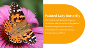 400359-butterfly-templates-12