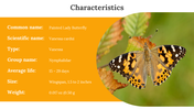 400359-butterfly-templates-13