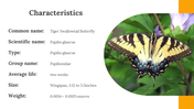 400359-butterfly-templates-15